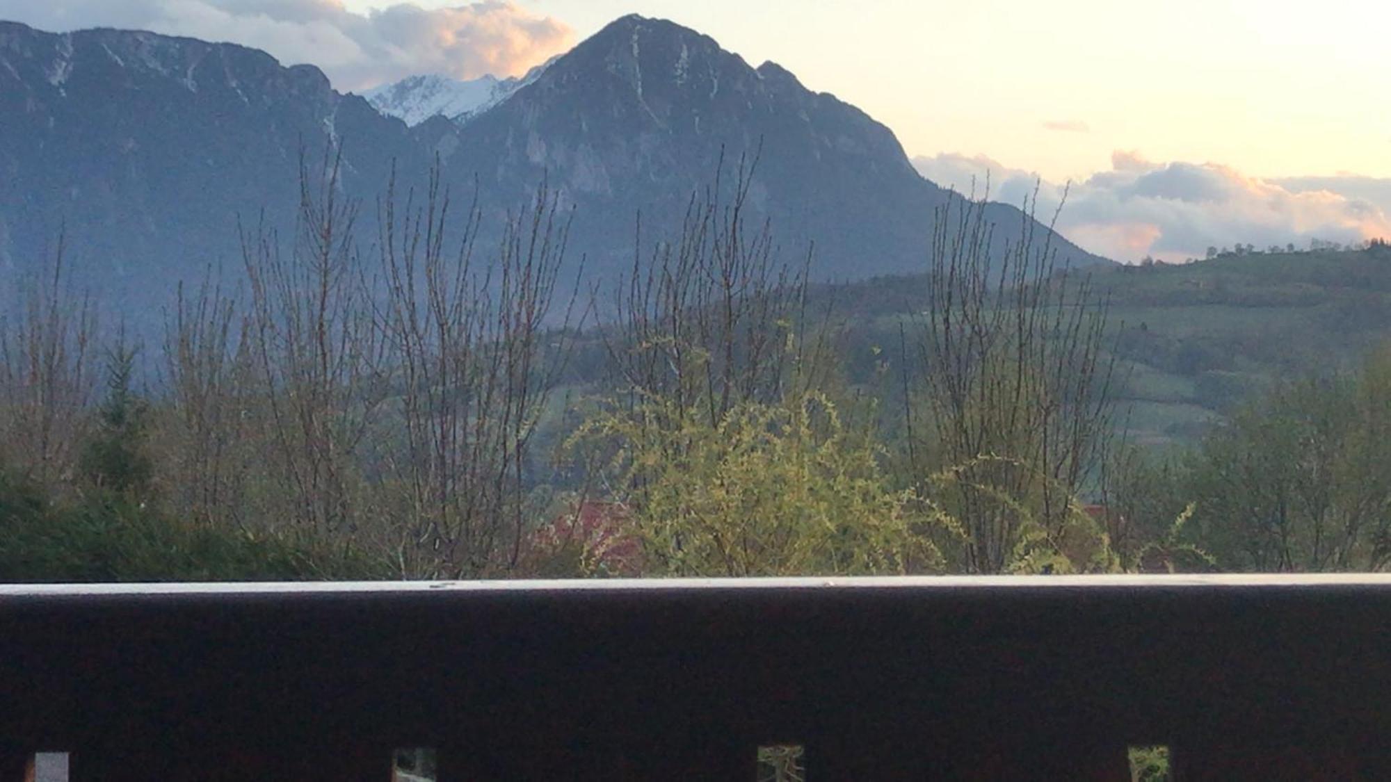 Pension Chalet Poiana Marului Ranch Екстериор снимка